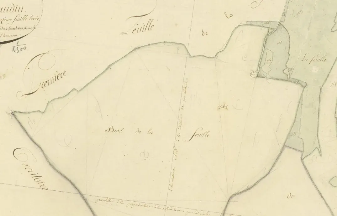 Bois de La Feuille